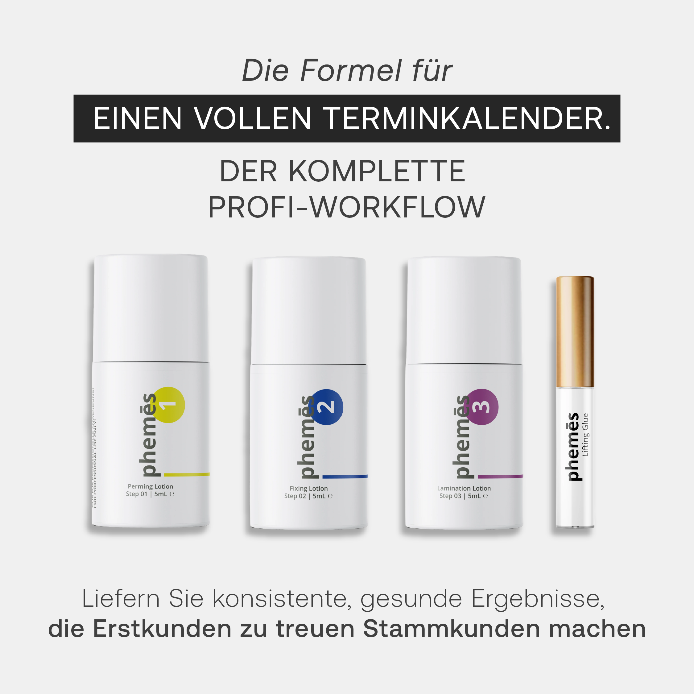 Professional Lifting System Komplett-Set